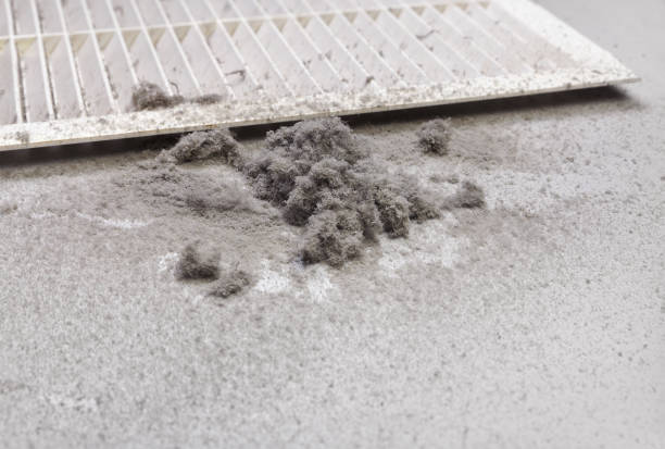 Best Air Duct Cleaning Near Me  in Wixom, MI