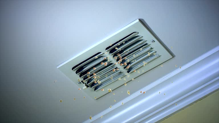 Best Air Duct Cleaning Near Me  in Wixom, MI