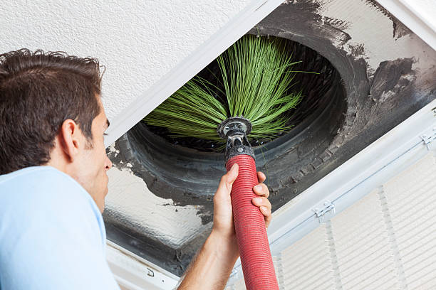 Best Affordable Duct Cleaning Services  in Wixom, MI