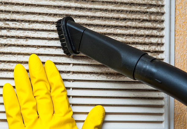Best HVAC Air Duct Cleaning  in Wixom, MI